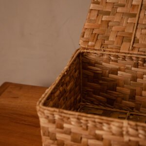 Caixa Organizadora com Tampa