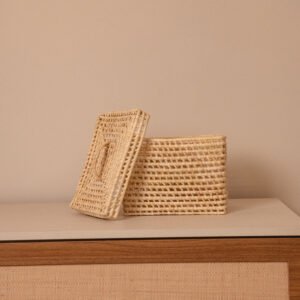 Caixa Organizadora com Tampa