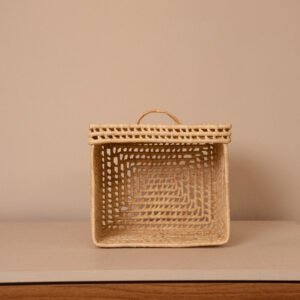 Caixa Organizadora com Tampa